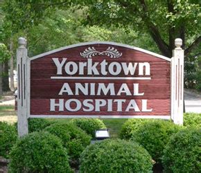 We treat your pets as our own and strive to provide the best veterinary care in a courteous, friendly, and professional. . Yorktown veterinary hospital